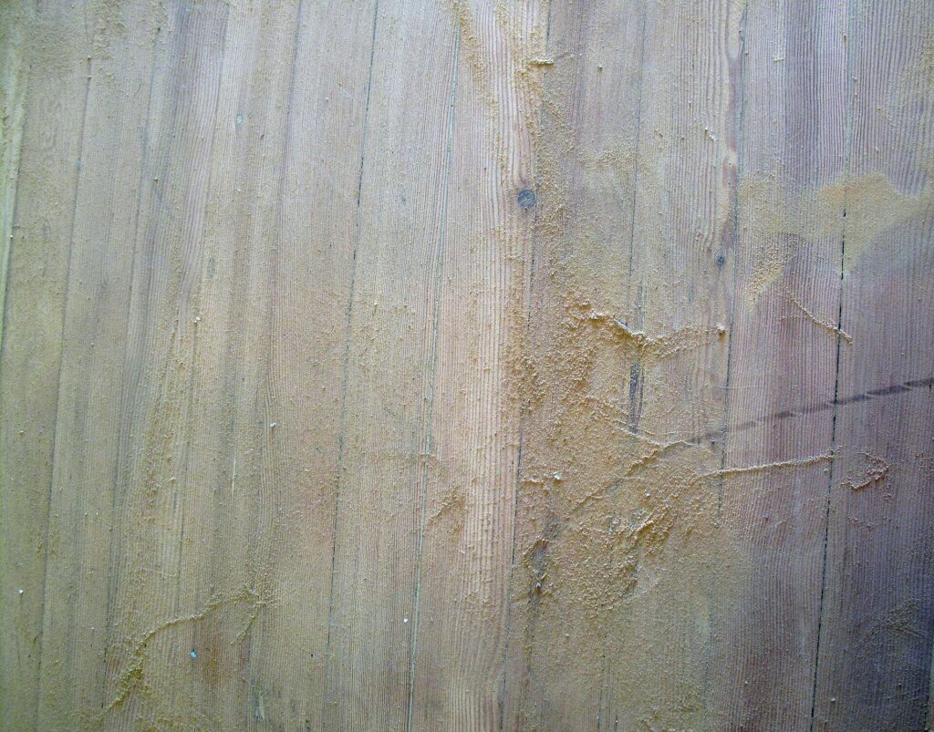Lames de parquet poncées couvertes de fine poussière de bois, fil du bois bien visible