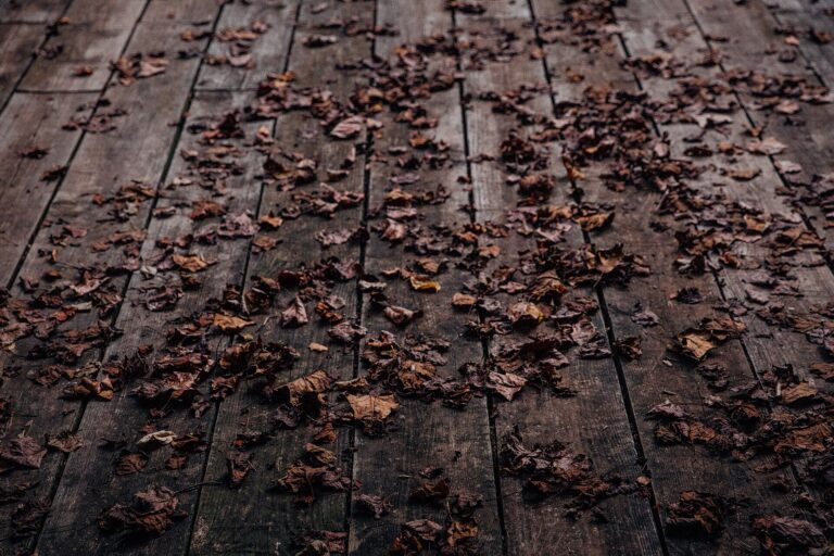 Lames de terrasse bois parsemées de feuilles mortes en automne, avant l'hiver : terrasse bois hiver à préparer